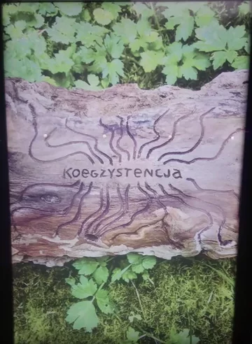 Plakat #adhackmanifesto w Polsce, czyli akcja #obalićreklamy 