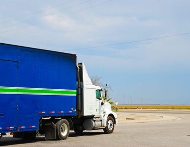 Miniatura: Kierowcy ciężarówek są bezprawnie karani?...