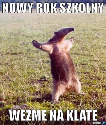 Memy - początek roku szkolnego 
