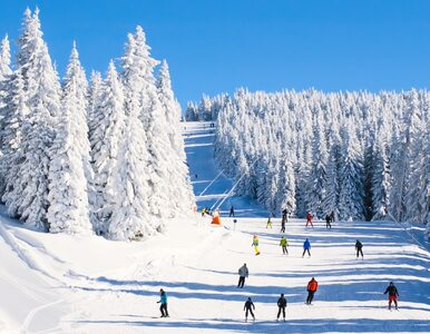 Ferie 2021. Dokąd można pojechać na narty za granicę?