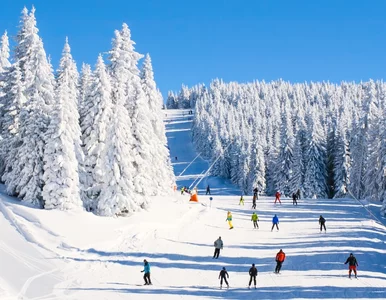 Miniatura: Ferie 2021. Dokąd można pojechać na narty...