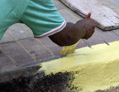 Miniatura: Kibice wolą oglądać schnącą farbę niż...