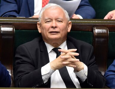 Miniatura: Jarosław Kaczyński wejdzie do rządu....