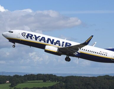 Miniatura: Ryanair zawiesza część lotów z Modlina....