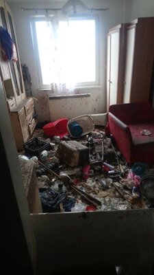 Miniatura: W tym mieszkaniu znaleziono 10 psów....