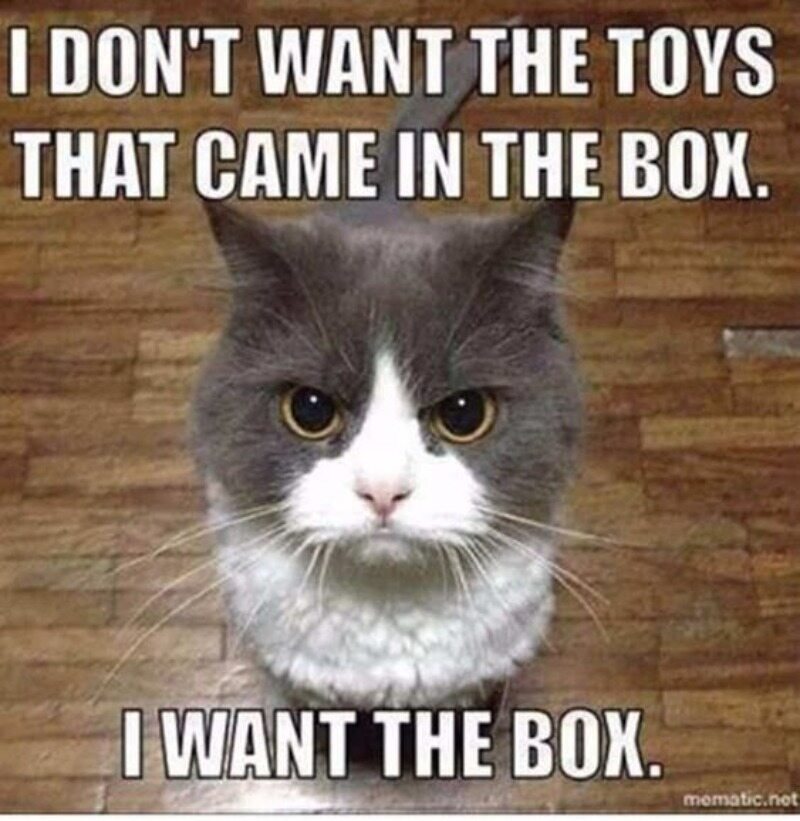 Nie chcę zabawek, które przyszły w pudełku. Chcę pudełka 