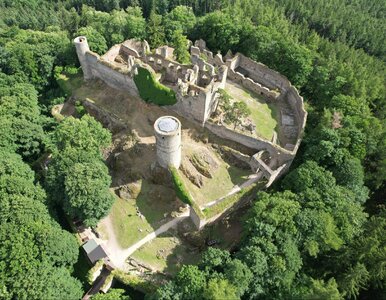 Miniatura: Zamek ukryty w lesie zaskakuje turystów....