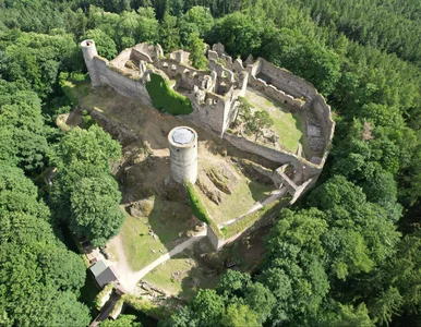 Miniatura: Zamek ukryty w lesie zaskakuje turystów....