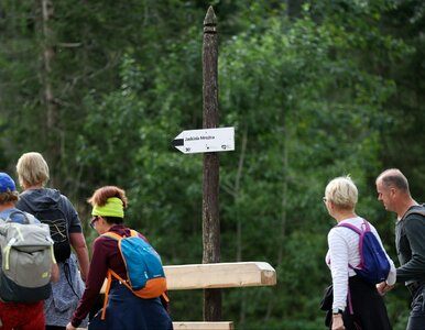 Miniatura: Wymarzona atrakcja na upały w Polsce. W...