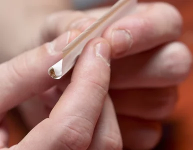 Miniatura: Marihuana na receptę w New Jersey?