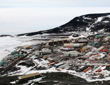 Miniatura: Gwałtowny wybuch epidemii na Antarktydzie....