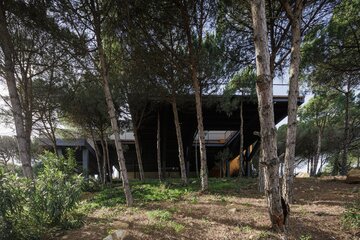 Dom z widokiem na las, projekt Flow81 