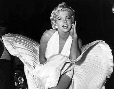 Miniatura: QUIZ. Kto jest na zdjęciu? Konia z rzędem...