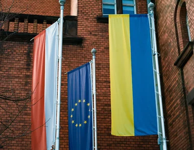 Miniatura: Польща дистанціюється від спекуляцій щодо...