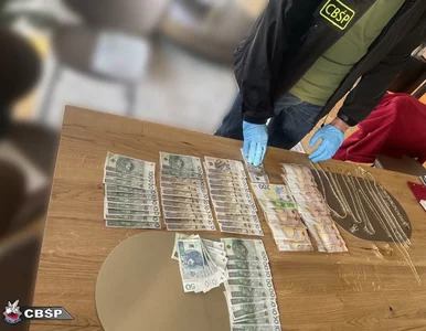 Miniatura: Gang lekarzy i farmaceutów rozbity. W tle...