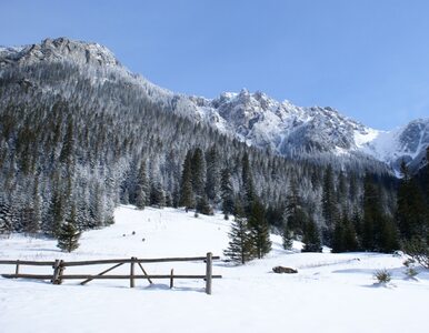 Miniatura: Śnieg w Tatrach. TOPR ostrzega: bardzo...