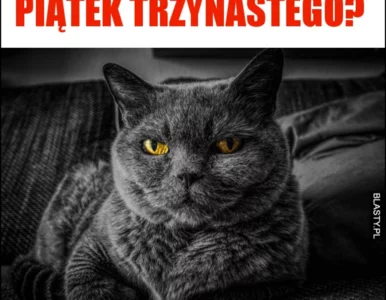 Miniatura: Strach się bać? Dziś piątek trzynastego,...