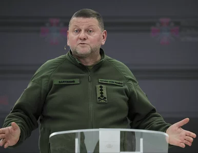 Miniatura: Gen. Skrzypczak dla „Wprost” o zarzutach...