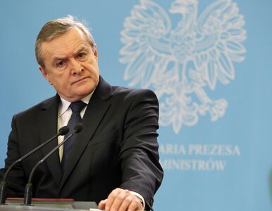 Miniatura: Gliński wraca do TVP i atakuje: To były...