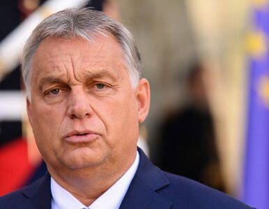 Miniatura: Orban gratuluje zwycięstwa PiS. „Bardzo...