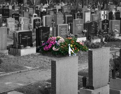Miniatura: Ciało 22-latki na cmentarzu. Leżała przy...