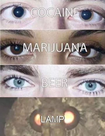 Mem z ćmą 