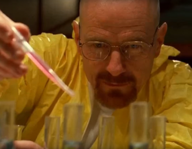 Miniatura: „Breaking Bad” doczeka się filmowej...