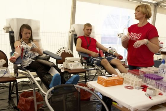 Uczestnicy oddają honorowo krew (fot. PAP/Lech Muszyński)