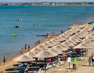 Miniatura: Najlepsze plaże Chorwacji. „Piasek jak nad...