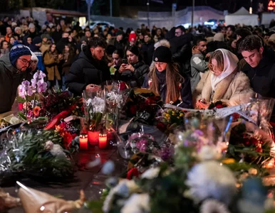 Miniatura: Polska chce pomóc po tragedii w...