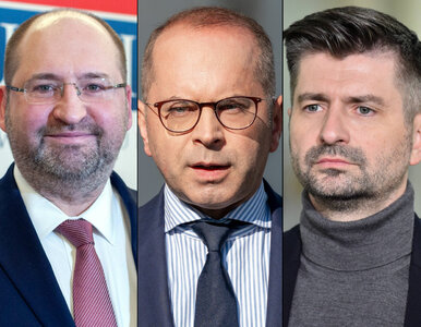 Miniatura: Tak europosłowie reprezentują Polskę w PE....
