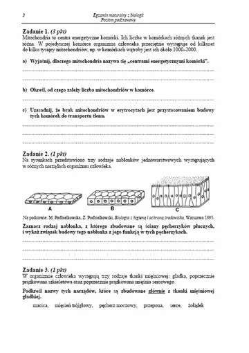 Matura 2013. Zobacz arkusze egzaminacyjne z biologii - poziom podstawowy (fot.CKE)
