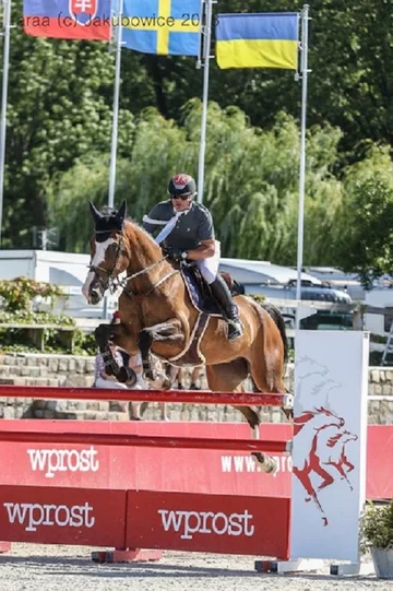 Zawody jeździeckie w Jakubowicach Silesia Equestrian 