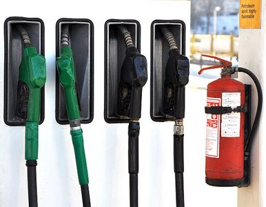 Miniatura: Ceny benzyny pójdą w górę. Trzeba ratować...