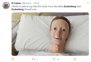 Mark Zuckerberg jako surfer i mem 