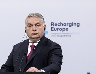 Miniatura: Viktor Orban może stracić władzę. Opozycja...