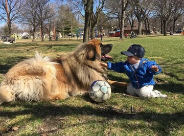 Lamont i jego przyjaciele 