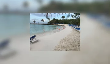 Plaża pełna flamingów 