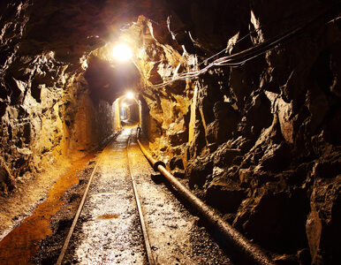 Miniatura: Nielegalne kopalnie złota przyciągają...