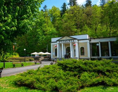 Miniatura: Słońce, piękne widoki i SPA. W tych...