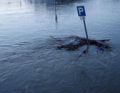 Miniatura: Woda zalewa Niemcy