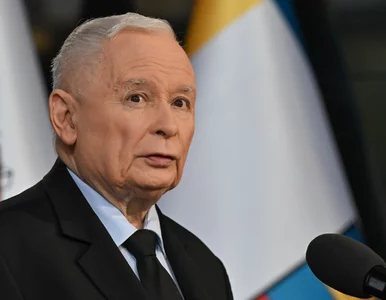 Miniatura: Kaczyński, Bąkiewicz i Szafarowicz przed...