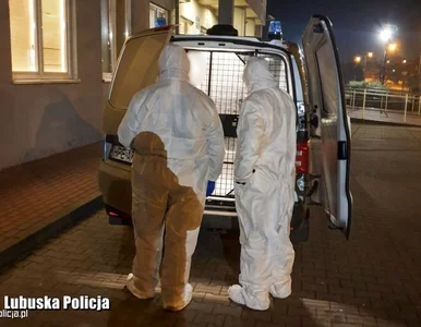 Miniatura: Miała koronawirusa, ale jeździła na...