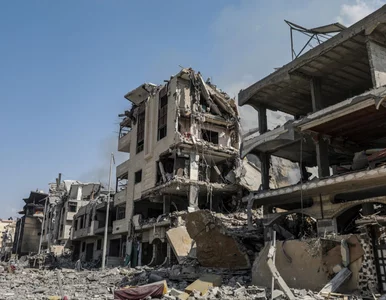 Miniatura: Porwana przez Hamas Shani Louk jednak...