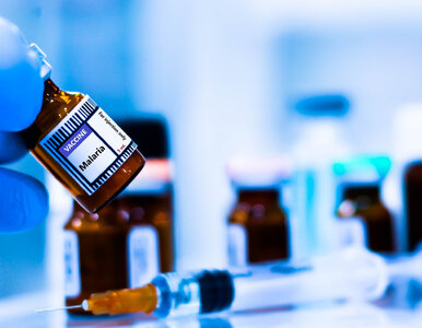 Miniatura: Zaskakujące zastosowanie ludzkiej krwi....