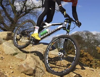 Miniatura: Pomysłowy złodziej - żeby kraść, udawał...