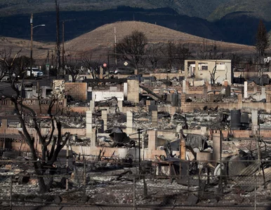 Miniatura: Najtragiczniejszy pożar w USA od ponad 100...
