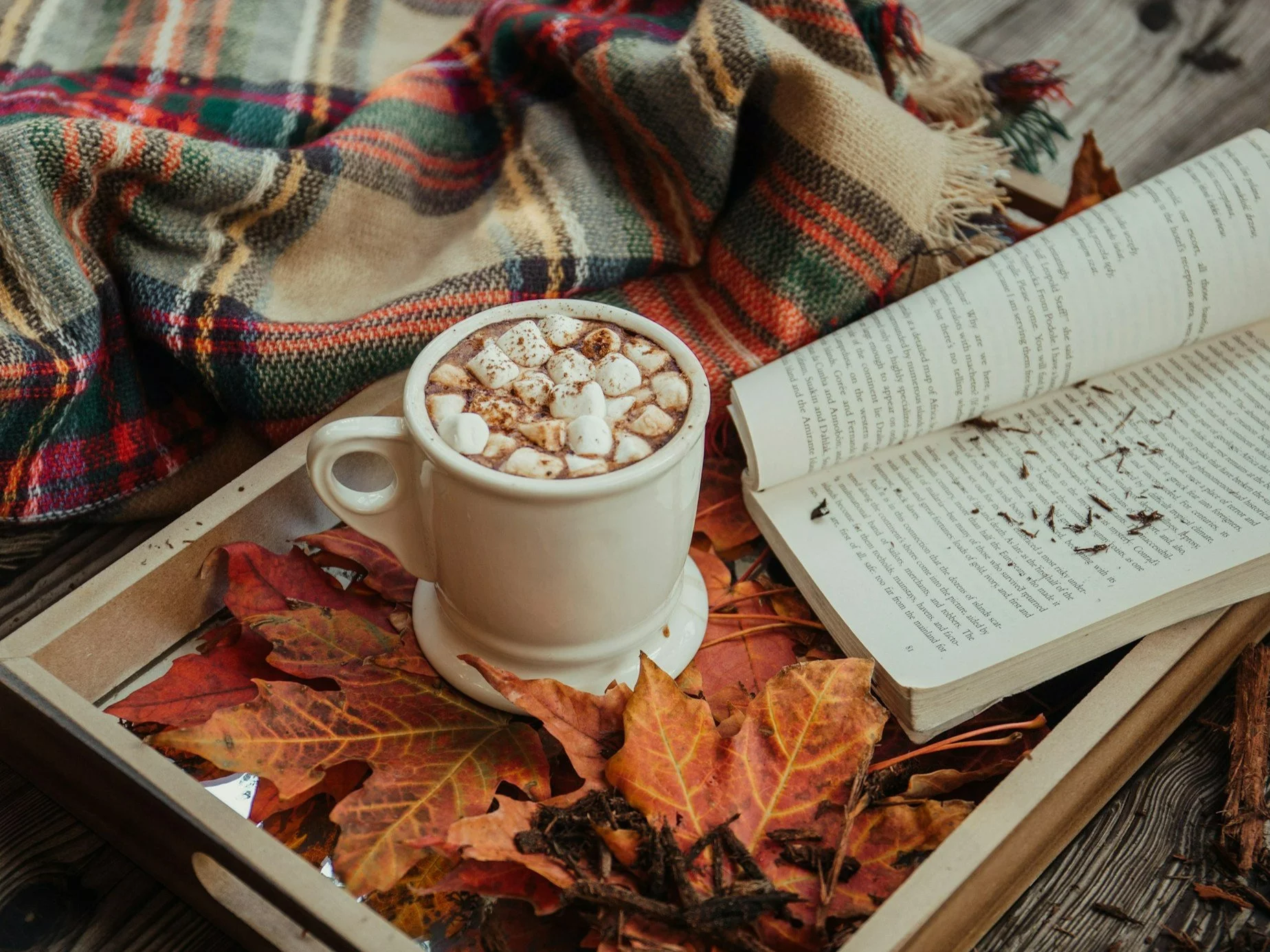 Trudny QUIZ na styczniowy wieczór