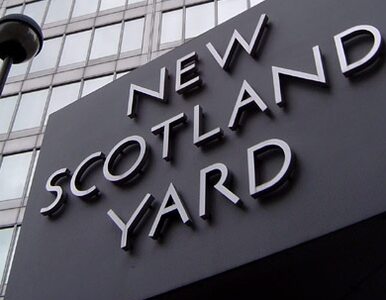 Miniatura: Scotland Yard poszerza śledztwo w aferze...