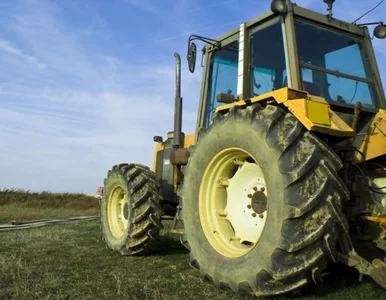 Miniatura: Polskie prawo zabija slow food, który...